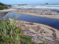 Albums/20060200-New Zealand 2006/20060205-Greymouth_Punakaiki/4